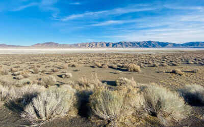 Planning Short-Term Work Pickup Truck Rentals in Nevada